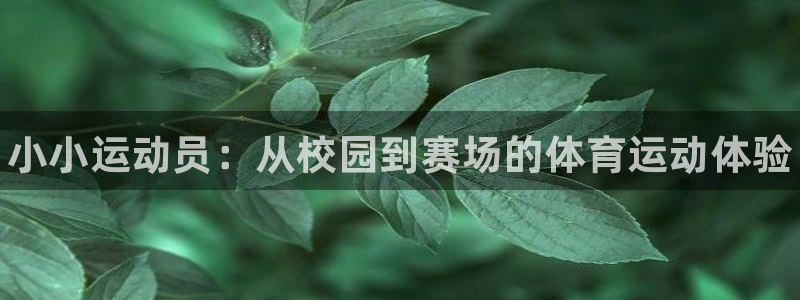 MK体育官方正版app官方：小小运动员：从校园到赛场