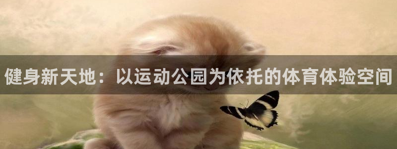 MK体育官方正版app科技：健身新天地：以运动公园为