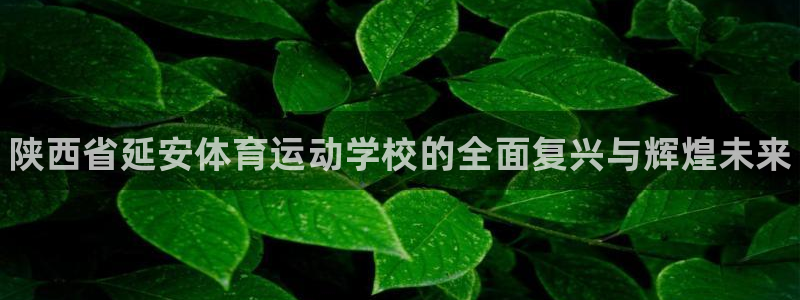 MK体育官网下载联系电话：陕西省延安体育运动学校的全