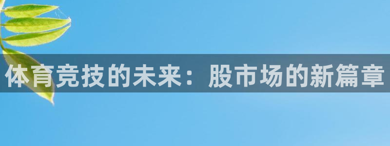MK体育官方正版app集团logo：体育竞技的未来：
