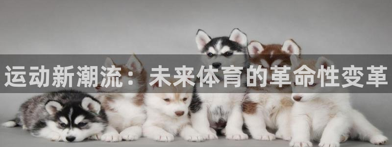 MK体育官网下载是干嘛的公司：运动新潮流：未来体育的