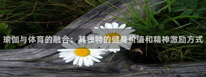 MK体育官方正版app集团logo：瑜伽与体育的融合