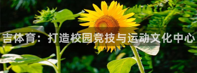 MK体育官方正版app集团E.ON：吉体育：打造校园