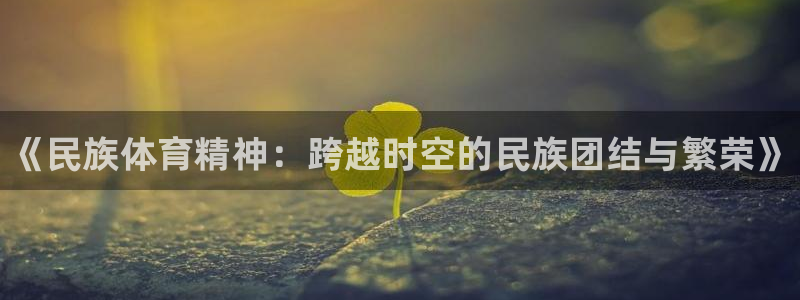 MK体育官方正版app官方：《民族体育精神：跨越时空的民族团