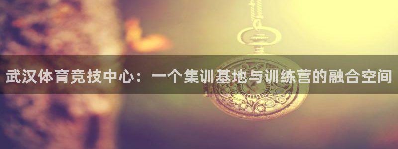 MK体育官方正版app娱乐：武汉体育竞技中心：一个集
