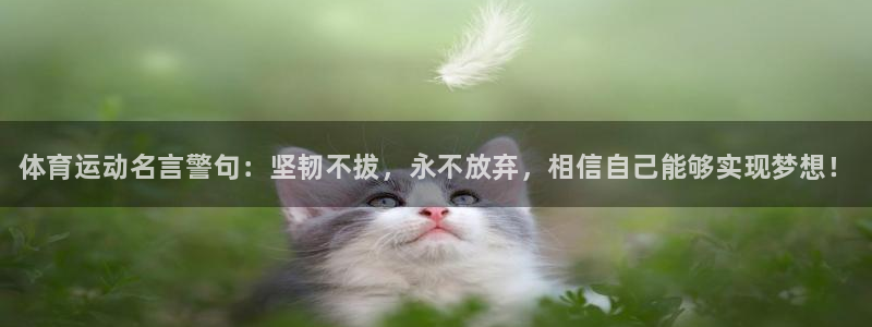 德国MK体育官方正版app集团：体育运动名言警句：坚