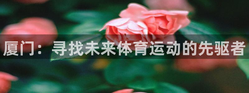 MK体育官网下载平台注册流程图：厦门：寻找未来体育运动的先驱