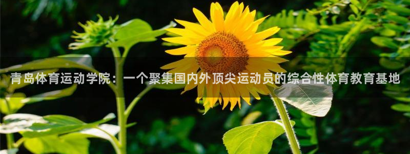 MK体育官网下载平台APP：青岛体育运动学院：一个聚集国内外
