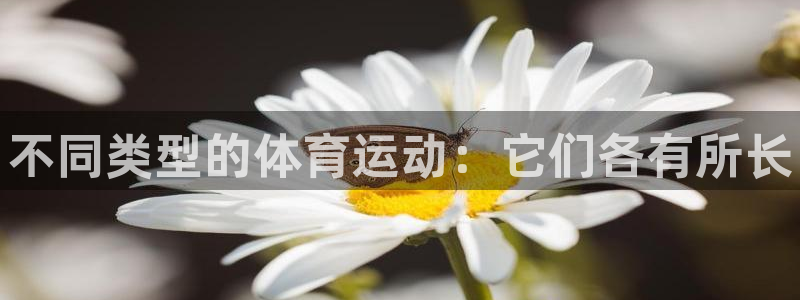 MK体育官网下载平台注册要钱吗是真的吗：不同类型的体育运动：