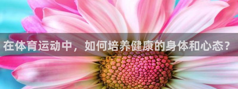 MK体育官网下载平台是正规平台吗：在体育运动中，如何