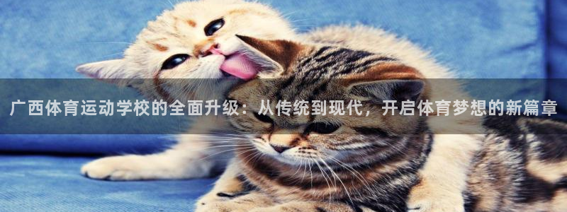 MK体育官方正版app新能源
