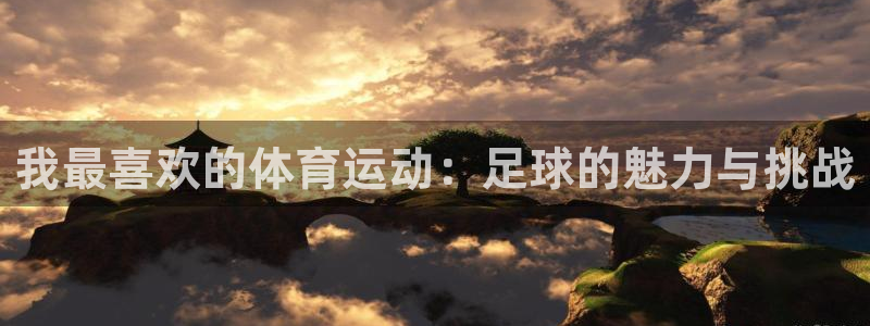 MK体育官网下载平台是正规平台吗：我最喜欢的体育运动：足球的