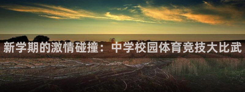 MK体育官网下载平台注册：新学期的激情碰撞：中学校园