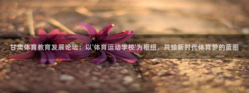 MK体育官网下载开户：甘肃体育教育发展论坛：以\'体