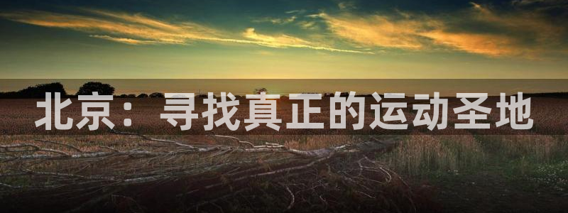 MK体育官网下载招商电话号码是多少号：北京：寻找真正