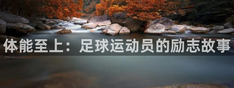MK体育官网下载招商电话地址查询：体能至上：足球运动