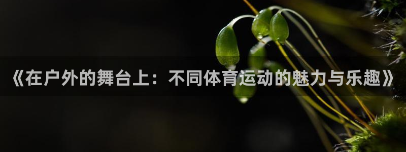 MK体育官方正版app娱乐40996：《在户外的舞台