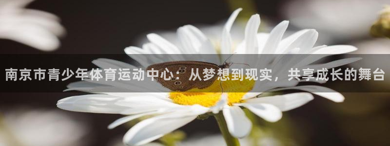 MK体育官网下载平台是正规平台吗知乎：南京市青少年体育运动中