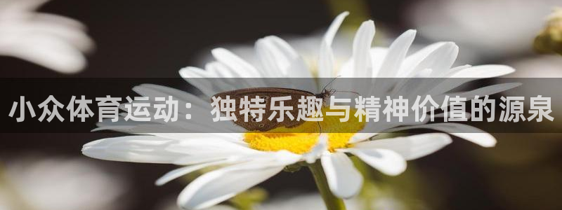 MK体育官网下载招商电话是多少：小众体育运动：独特乐趣与精神