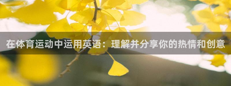 MK体育官网下载娱乐：在体育运动中运用英语：理解并分享你的热