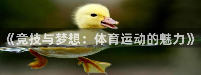 MK体育官方正版app科技：《竞技与梦想：体育运动的魅力》